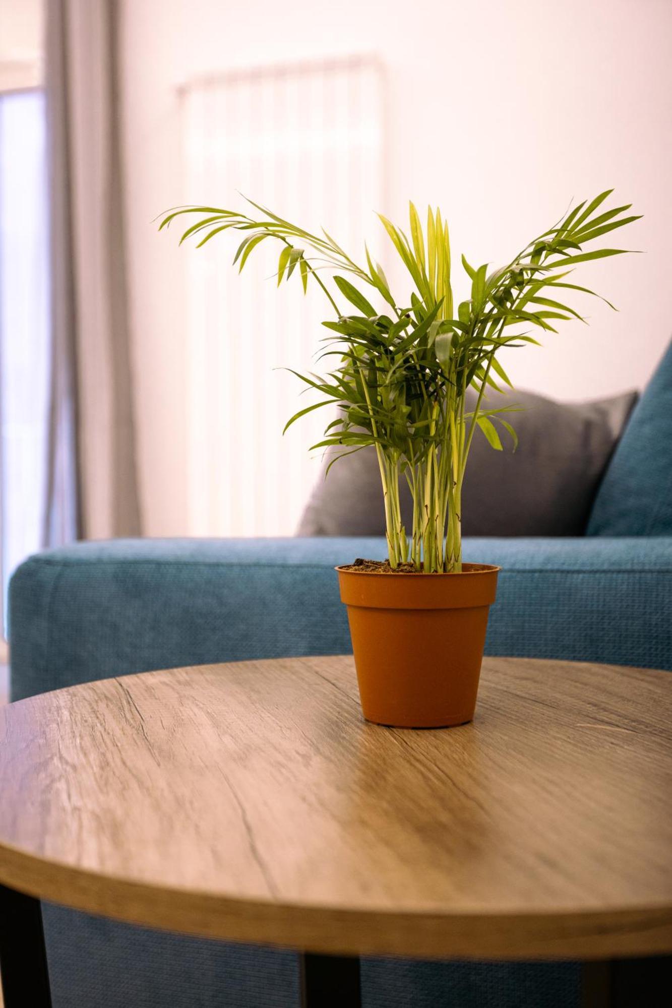 Song House Apartment Centro Storico 7 Pax Napoli Bagian luar foto